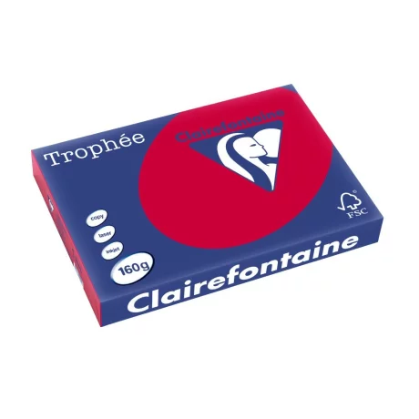 Carton A3 160 g/mp color intens 250/top Clairefontaine
