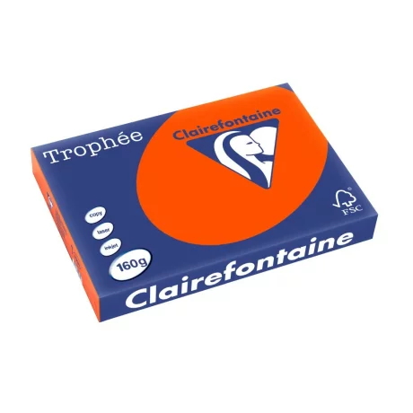 Carton color Clairefontaine Intens A3