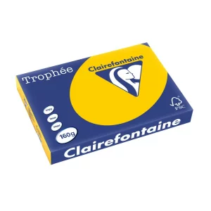 Carton color Clairefontaine Intens A3