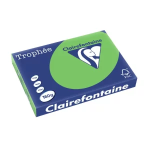 Carton color Clairefontaine Intens A3 Verde