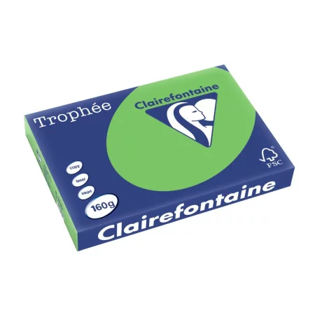 Carton color Clairefontaine Intens A3 Verde