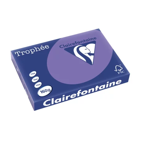 Carton color Clairefontaine Intens A3 Liliac