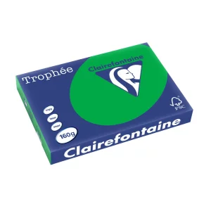 Carton color Clairefontaine Intens A3 Verde Biliard