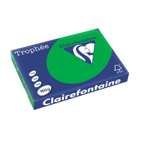 Carton color Clairefontaine Intens A3 Verde Biliard