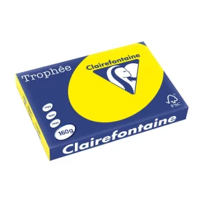 Carton color Clairefontaine Intens A3 Galben