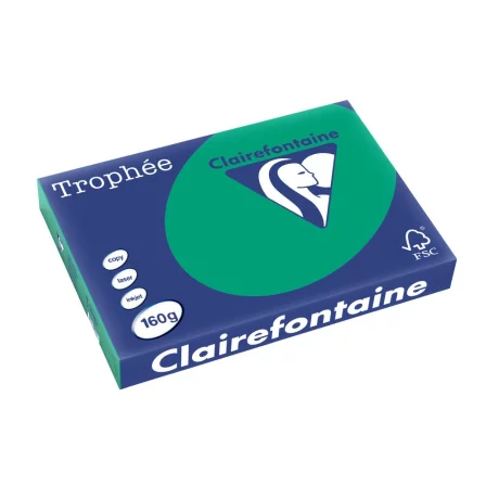 Carton color Clairefontaine Intens A3 Verde Inhis