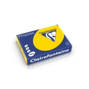 Carton color Clairefontaine Pastel Gold