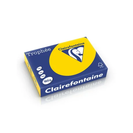 Carton color Clairefontaine Pastel Gold