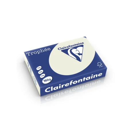 Carton color Clairefontaine Pastel Pearl Grey