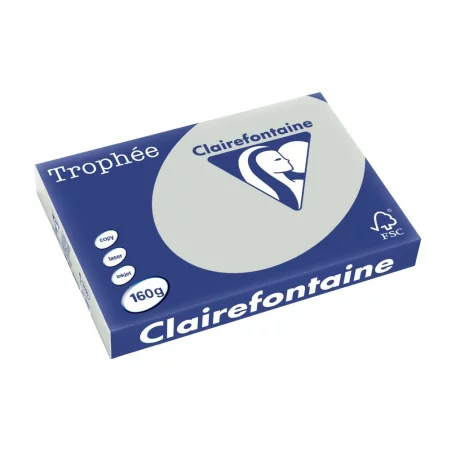 Carton A3 160 g/mp color pal 250/top Clairefontaine