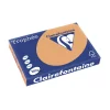 Carton A3 160 g/mp color pal 250/top Clairefontaine