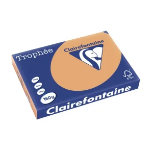 Carton A3 160 g/mp color pal 250/top Clairefontaine