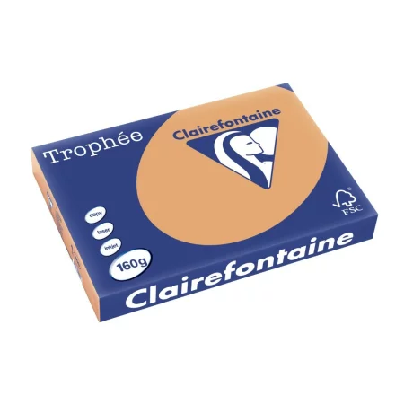 Carton A3 160 g/mp color pal 250/top Clairefontaine