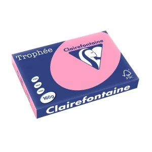 Carton A3 160 g/mp color pal 250/top Clairefontaine