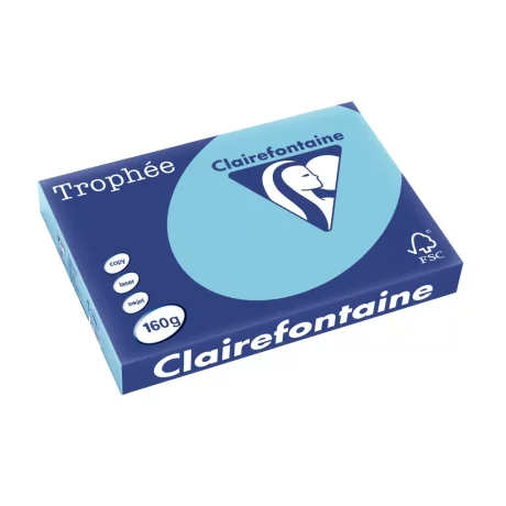 Carton A3 160 g/mp color pal 250/top Clairefontaine
