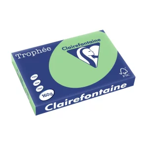 Carton color Clairefontaine Pastel A3 Natural Green