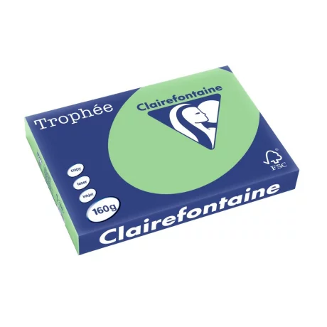Carton color Clairefontaine Pastel A3 Natural Green