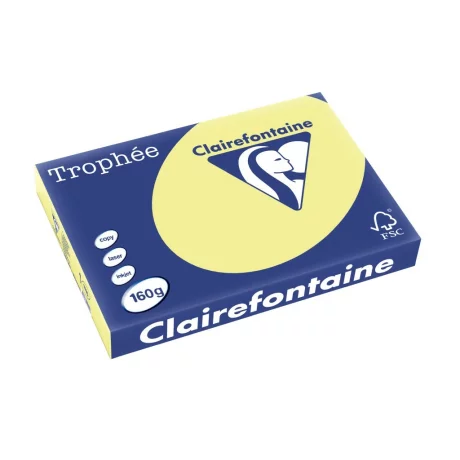 Carton A3 160 g/mp color pal 250/top Clairefontaine