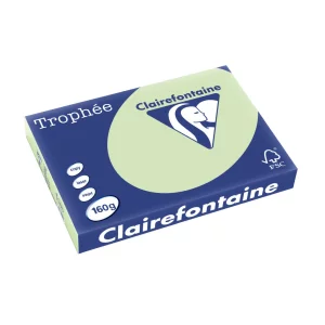 Carton A3 160 g/mp color pal 250/top Clairefontaine