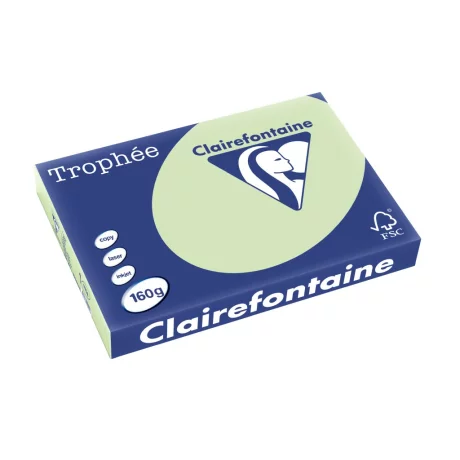 Carton A3 160 g/mp color pal 250/top Clairefontaine