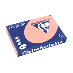 Carton A3 160 g/mp color pal 250/top Clairefontaine