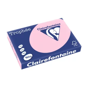 Carton A3 160 g/mp color pal 250/top Clairefontaine