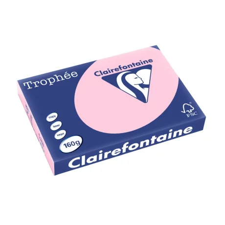 Carton A3 160 g/mp color pal 250/top Clairefontaine