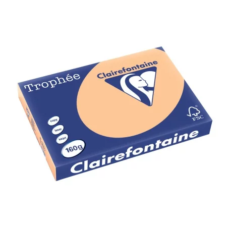 Carton A3 160 g/mp color pal 250/top Clairefontaine