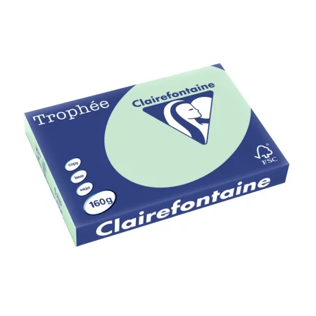 Carton A3 160 g/mp color pal 250/top Clairefontaine