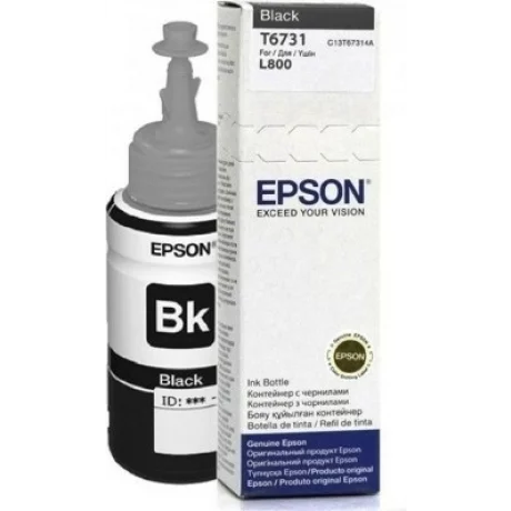 Cartus Cerneala Original Epson Black, T6731, C13T67314A