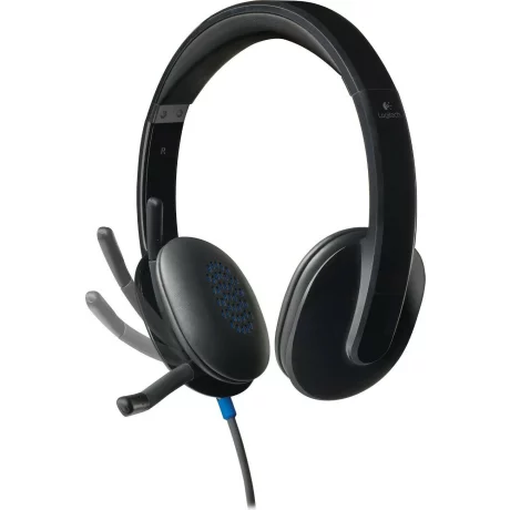 Casti cu fir Logitech H540 negru 981-000480