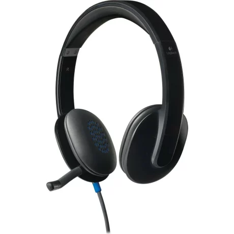 Casti cu fir Logitech H540 negru 981-000480