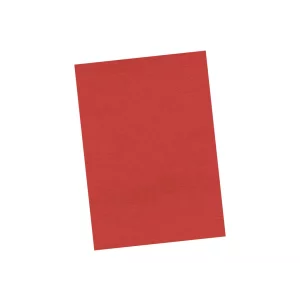 Copertă carton A4 imitație piele 100/set