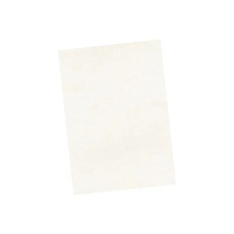 Copertă carton A4 imitație piele 100/set