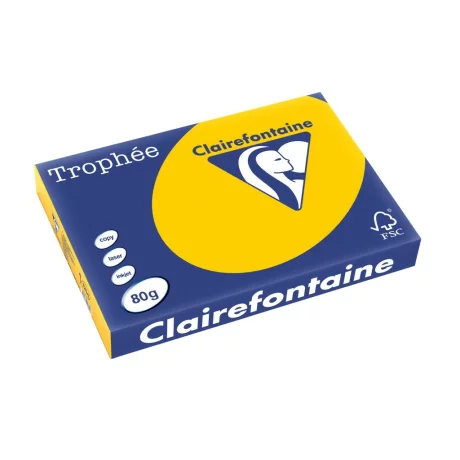 Hârtie A3 80 g/mp color intens 500/top Clairefontaine