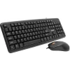 KIT wired SPACER USB, tastatura &quot;SPKB-S62&quot; + mouse optic &quot;SPMO-F01&quot;, black, &quot;SPDS-S6201&quot; 45505412   (include TV 0.75 lei)