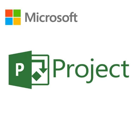 LICENTA electronica MICROSOFT, tip Project Professional 2019 pt PC, 1 utilizator, valabilitate forever, utilizare Business, &quot;H30-05756&quot; (nu se returneaza)