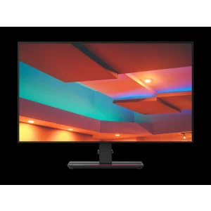 LN ThinkVision P27h-20 27&quot; QHD TYPE-C 3Y