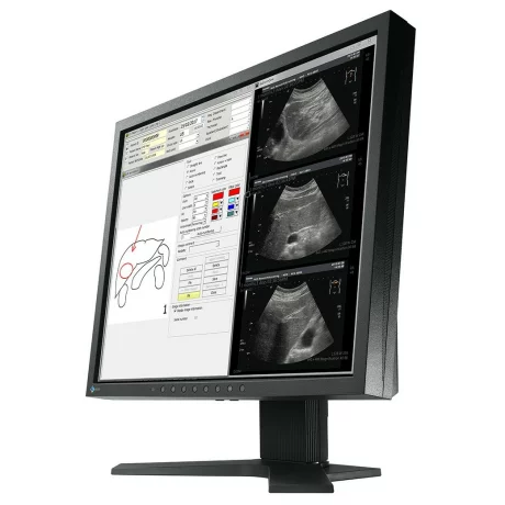 MONITOR Eizo 19&quot;, home, office, VA, SXGA (1280 x 1024), clasic, 350 cd/mp, 20 ms, VGA, DVI, DisplayPort, &quot;MX194&quot; (include TV 5 lei)