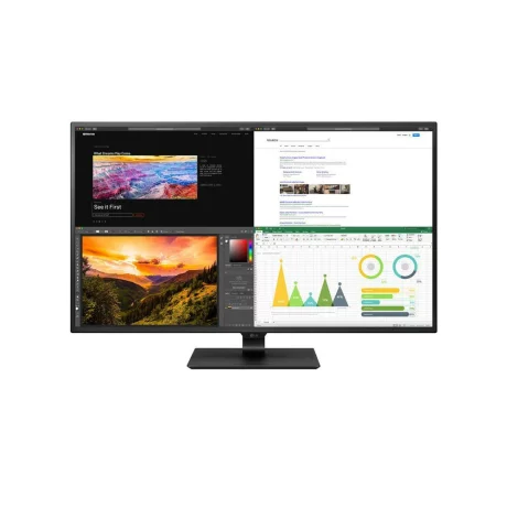 MONITOR LCD 43&quot; IPS/43UN700-B LG