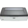 SCANNER  EPSON Expression 1200XL PRO, dimensiune A3, tip flatbed, SCANNER  grafic, viteza scanare: 12sec pagina alb-negru si color, rezolutie optica 2400 x 4800 dpi , sursa lumina: LED &quot;B11B240401BT&quot;