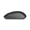 MOUSE TRUST, &quot;Duco Dual&quot; notebook, PC, wireless, optic, USB, 1600 dpi, 6/1, buton selectare viteza, negru, &quot;TR-23613&quot;, (include TV 0.15 lei)