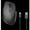 Trust Themo Rechargeable Wireless Mouse