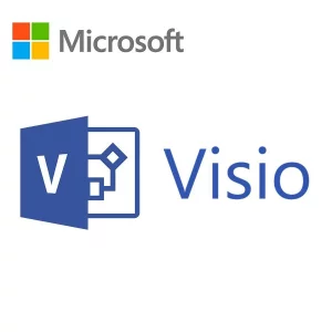 LICENTA electronica MICROSOFT, tip Visio Professional 2019 pt PC, 1 utilizator, valabilitate forever, utilizare Home | Business, &quot;D87-07425&quot; (nu se returneaza)