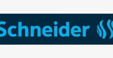 Despre Schneider